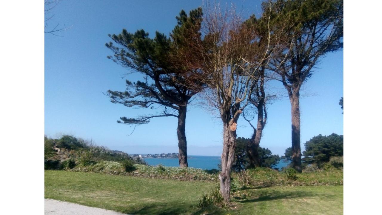 Camping Dortoire En Tente Individuelle *